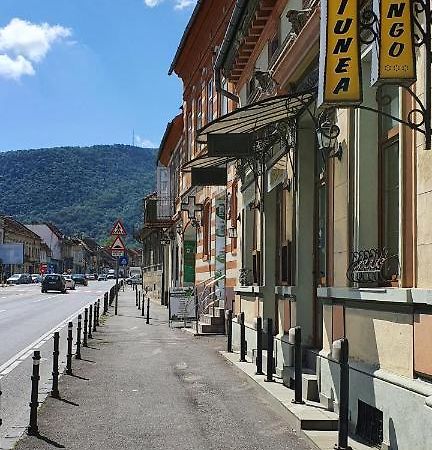 Pension Flamingo Hotel Braşov Eksteriør billede