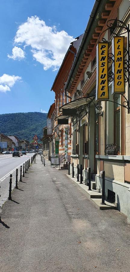 Pension Flamingo Hotel Braşov Eksteriør billede